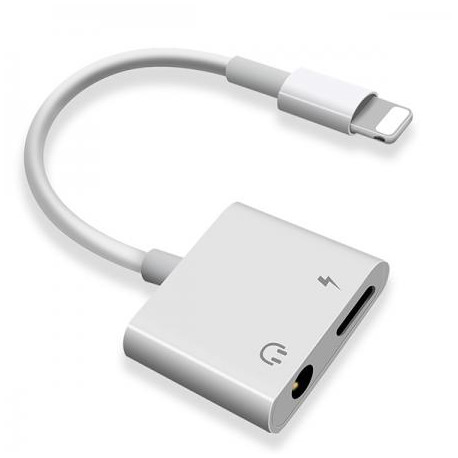 2 in 1 Adapter for Lightning Device Runs iOS 10 or Later